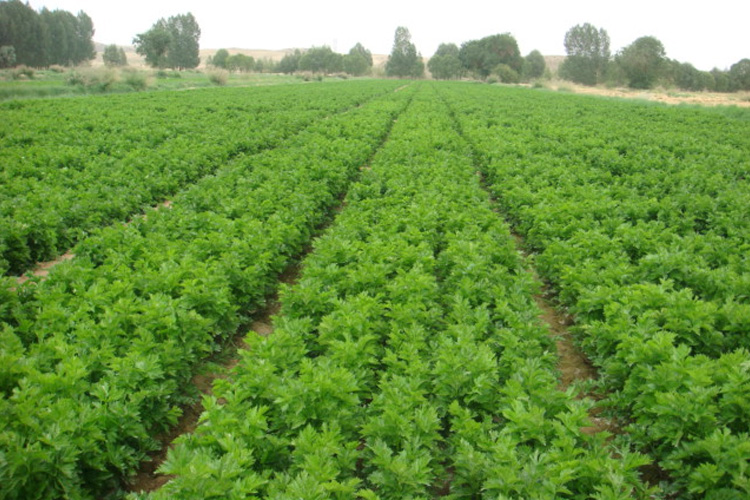 萬(wàn)事達(dá)