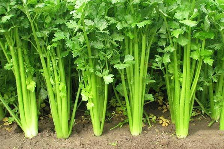 萬(wàn)事達(dá)